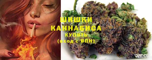 бошки Алзамай